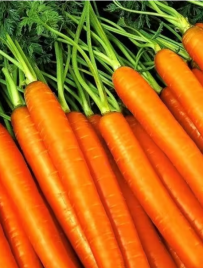 Морковь Детская Сладкая (2г) Ц