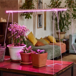 Uniel Светильник св/д для рассады и растений с выкл.на кор с даль кр  1150мм ULI-P45-35W/SPBX IP40