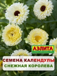 Календула Снежная королева 0,5г