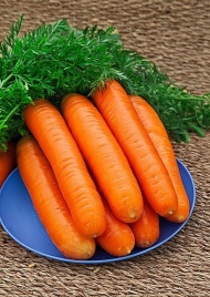 Морковь Нантская Красная (2г) 