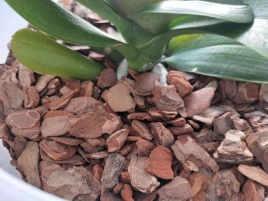 Грунт для  орхидей 5л