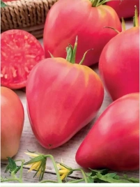 Томат Бычье сердце Розовое (0,1г) 