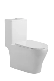 Унитаз-монолит Royce Elite RCT-111505WH