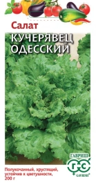 Салат Кучерявец Одесский (0,5г) Ц