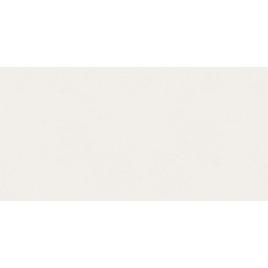 NEW TREND Керамическая плитка 300х600 Design Art Base WT36DST00 (10шт/1,8м2)