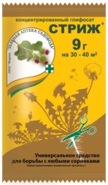 Стриж 9г