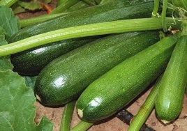 Кабачок цук. Черный красавец (2г) ц/п 