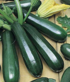 Кабачок Дракоша (2г) (Г)