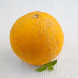 Дыня Колхозница 749/753 1г