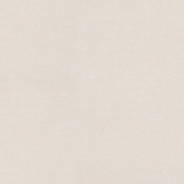 Обои Фантом Фон 0499-61 1,06*10м БелВинил