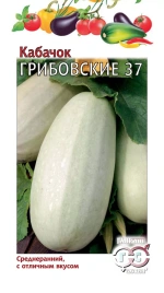 Кабачок Грибовский 37 (2г) Г