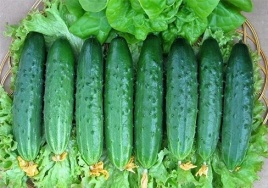 Огурец Апрельский  F1 10шт