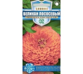 Цинния Великан Лососевый (0,3гр)