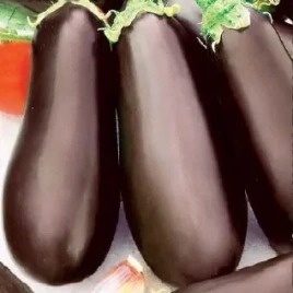 Баклажан Мария 0,2г