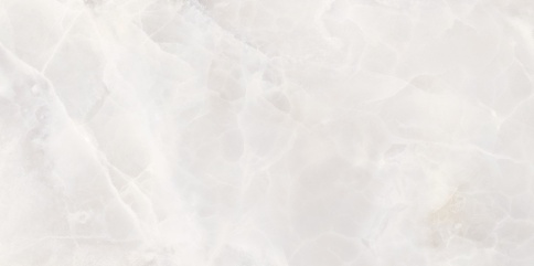 Кер.плитка Alma Ceramica RIVOLI 249х500  TWU09 RVL004 (12шт/1,494м2) фото 1