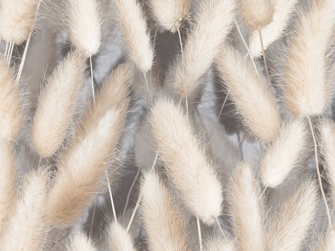 Обои Степь 10823 1,06*10м Фокс Беларусь фото 1