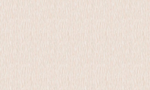 *Обои Сар. С40 Регги-С 03 4033-03 OLIMP 1,06*10м фото 1