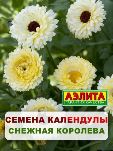 Календула Снежная королева 0,5г фото 1