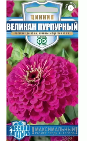 Цинния Великан пурпурный (0,3гр) фото 1