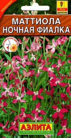 Маттиола Ночная фиалка 0,5г фото 1