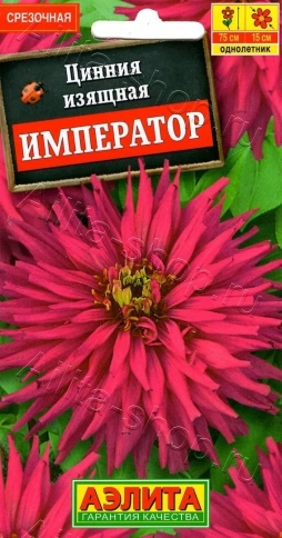 Цинния Император 0,3г фото 1