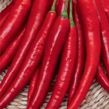 Перец острый Огонек 0,3г фото 1