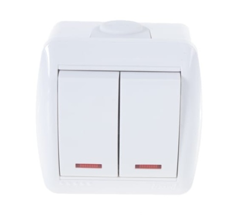 Lezard Блок Ната верт.бел(2кл.выкл+роз.евро с/з с крышкой). 710-0200-173 фото 1