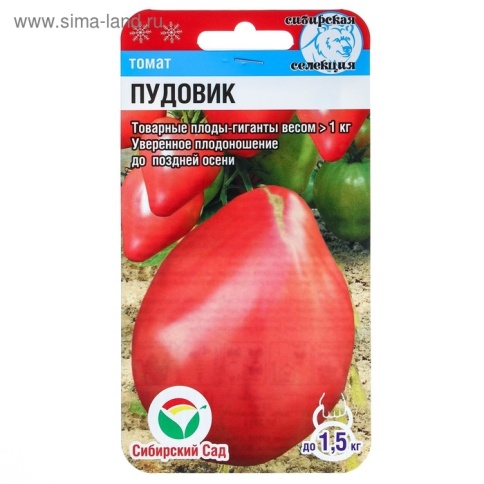 Томат Пудовик 20сем фото 1