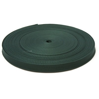 Стропа 20мм S-890 зеленый (боб. 50м) фото 1