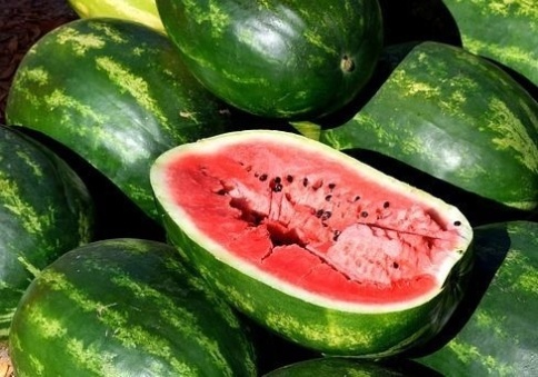 Арбуз Астраханский 1г  фото 1