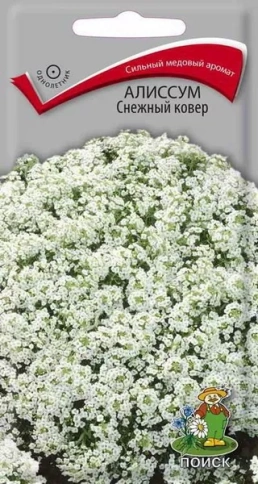 Алиссум Снежный ковер 0,3г фото 1