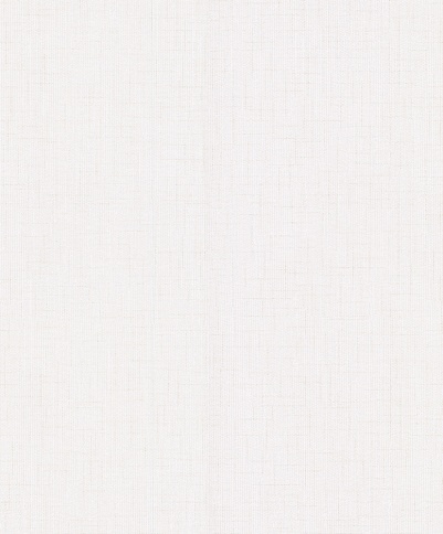 *Обои HC11053-28 HomeColor 0,53*10м фото 1