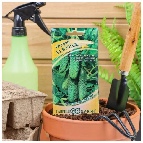 Огурец Кураж F1 (10сем)  фото 1