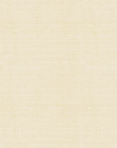 Рулонные шторы, ТЭФИ 02, 85*180 фото 1