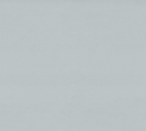 Обои Палитра FM72488-71 С фото 1