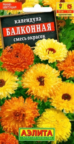 Календула Балконная 0,5г фото 1