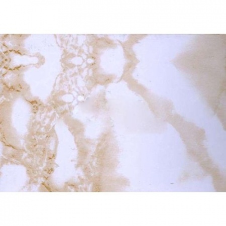 3808 пленка самокл. 0,45х8 м  фото 1