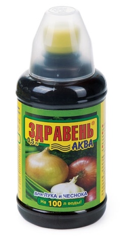 ЖКУ ЛУК и ЧЕСНОК 500мл. Здравень (12) ВХ фото 1