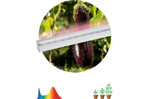 Светильник LED 05-Т5-FITO 9W-W ЭРА Б0028199 фото 1