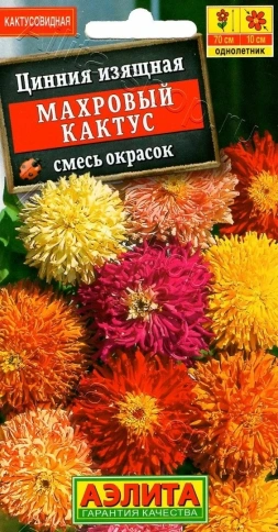 Цинния Махровый кактус, СМЕСЬ (0,3гр) фото 1