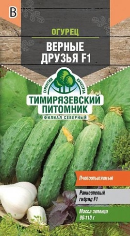 Семена Огурец "Верные друзья F1" (А) 10 шт.  фото 1