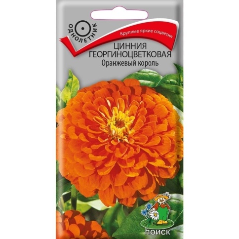 Цинния Оранжевый король 0,4г фото 1