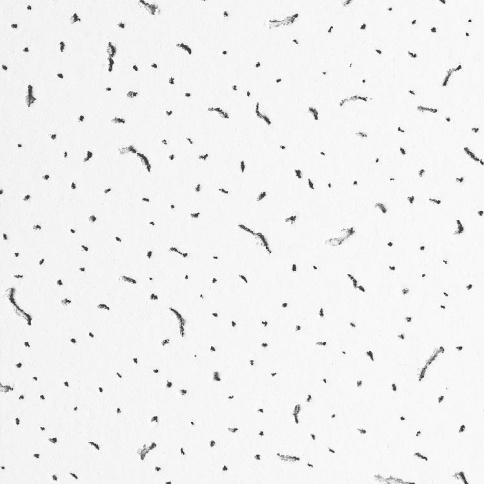 Плита БАЙКАЛ 600х600х12мм (7,2 м2, 20шт) фото 1