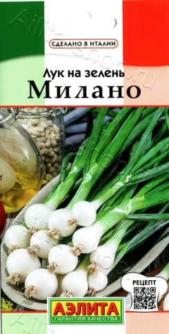 Лук на зелень Милано (0,5г) фото 1