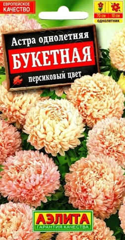 Астра Букетная персиковая 0,2Ц фото 1