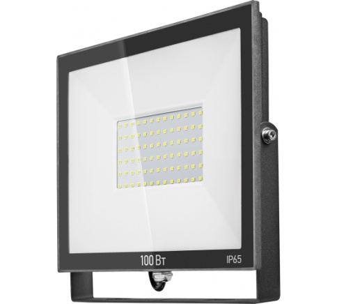 ОНЛАЙТ Прожектор светодиодный OFL-100-6000K-BL-IP65-LED (61948) фото 1