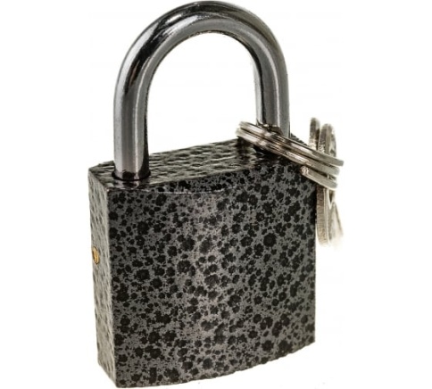 Замок навесной ЗН-800-25 мм (2кл.) фото 1