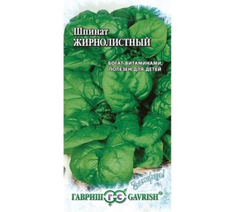 Шпинат Жирнолистный (1г)  фото 1