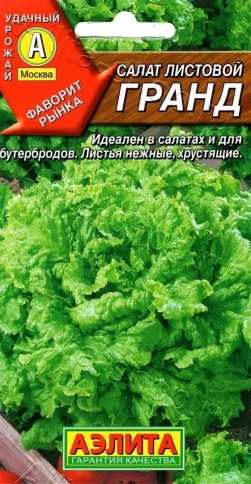 Салат Гранд листовой 0,5г фото 1
