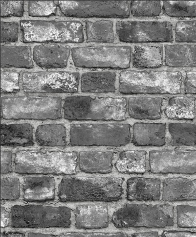 Обои Честер 148-01 0,53*10м Саратов фото 1